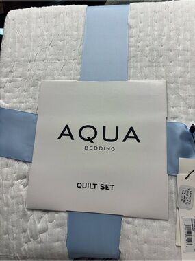 Aqua White Quilted Quilt Set